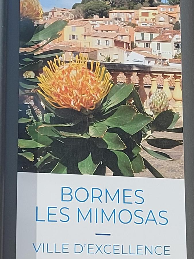 T2-Clim-Fibre-Garage 2,30 X 4,95 X 1,90 A La Faviere Leilighet Bormes-les-Mimosas Eksteriør bilde